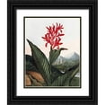 thumbnail image 1 of Thornton, Dr R 15x18 Black Ornate Wood Framed with Double Matting Museum Art Print Titled - Indian Reed, 1 of 4