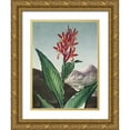 thumbnail image 1 of Thornton, Dr. Robert J. 12x14 Gold Ornate Wood Framed with Double Matting Museum Art Print Titled - Temple of Flora I, 1 of 4