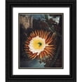 thumbnail image 1 of Thornton, Robert John 15x18 Black Ornate Wood Framed with Double Matting Museum Art Print Titled - The Night Blowing Cereus from The Temple of Flora, 1 of 4