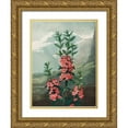 thumbnail image 1 of Thornton, Robert John 15x18 Gold Ornate Wood Framed with Double Matting Museum Art Print Titled - The Narrow Leaved Kalmia from The Temple of Flora, 1 of 4