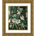 thumbnail image 1 of Thornton, Robert John 15x18 Gold Ornate Wood Framed with Double Matting Museum Art Print Titled - The Passiflora Cerulea from The Temple of Flora, 1 of 4