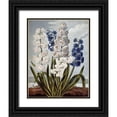 thumbnail image 1 of Thornton, Robert John 20x24 Black Ornate Wood Framed with Double Matting Museum Art Print Titled - Hyacynths, 1 of 4