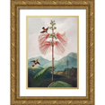thumbnail image 1 of Thornton, Robert John 24x32 Gold Ornate Wood Framed with Double Matting Museum Art Print Titled - Sensitive Plant from The Temple of Flora, 1 of 4