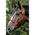 thumbnail image 1 of Thoro-bred Prem Halter #10 Color: Dark Green, 1 of 1