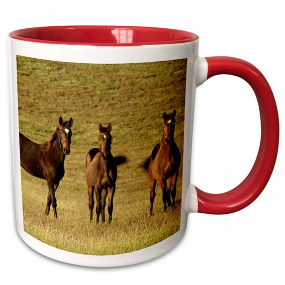 3drose, Thoroughbred Horses, Lexington, Kentucky - Us18 Aje0406 - Adam Jones, 15oz Two-tone Red Mug