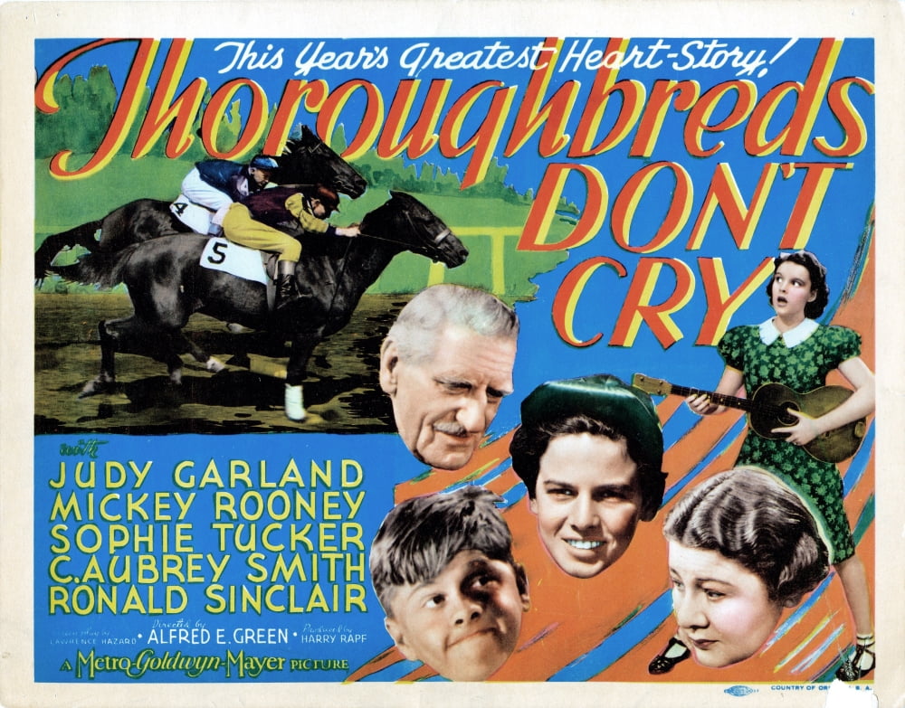 Thoroughbreds DonT Cry U Canvas Art - (28 x 22)
