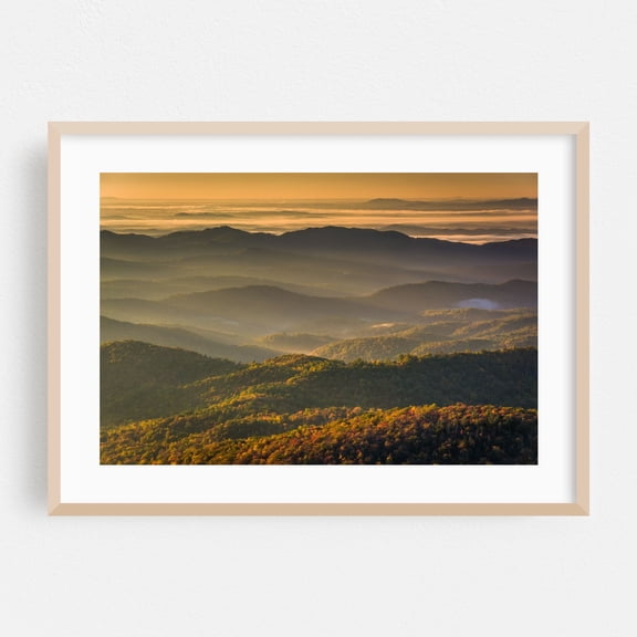 Thoughtful 02 - North Carolina Photography Landscape Mountain Nature Scenic Autumn Sunset Forest Oak Framed Wall Art Print 5 x 7 inches