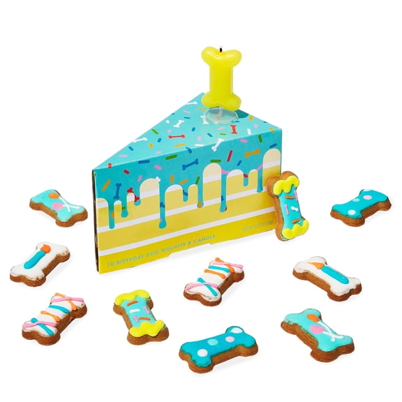 Thoughtfully Pets Dog Birthday Cake Mini Treats Gift Set, 10 Mini Cookie Bones with Birthday Candle, Dog Day Celebration