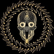 Thousands of Miles Between Us Blu-ray, Deathwish Inc, Music & Performance