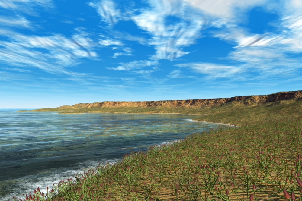 Thousands of individual Aglaophyton populate an Early Devonian bay Canvas Art - Walter MyersStocktrek Images (18 x 12)