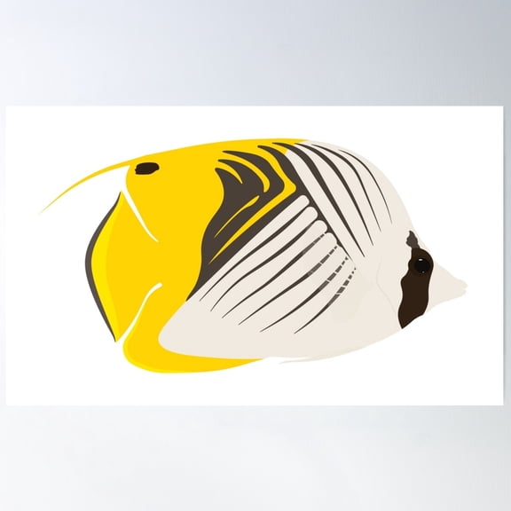 Threadfin Butterflyfish - Chaetodon Auriga Poster Wall Art, Modern Wall Decor For Living Room Bedroom, 24x36 UNFRAMED