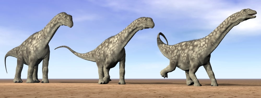 Three Argentinosaurus dinosaurs standing in the desert Canvas Art - Elena DuvernayStocktrek Images (46 x 18)