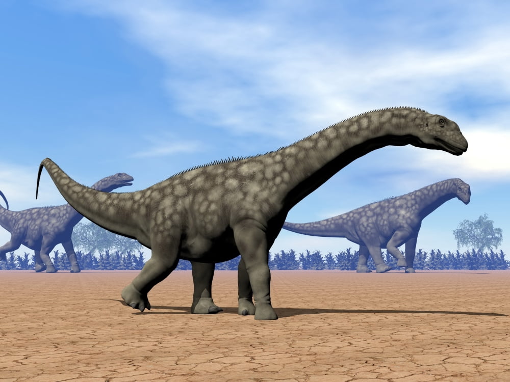 Three Argentinosaurus dinosaurs walking in the desert Canvas Art - Elena DuvernayStocktrek Images (33 x 25)