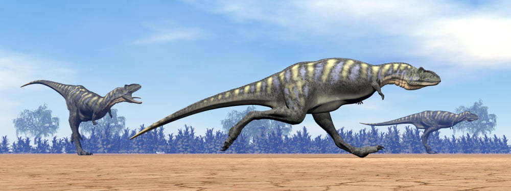 Three Aucasaurus dinosaurs running in the desert Canvas Art - Elena DuvernayStocktrek Images (23 x 9)