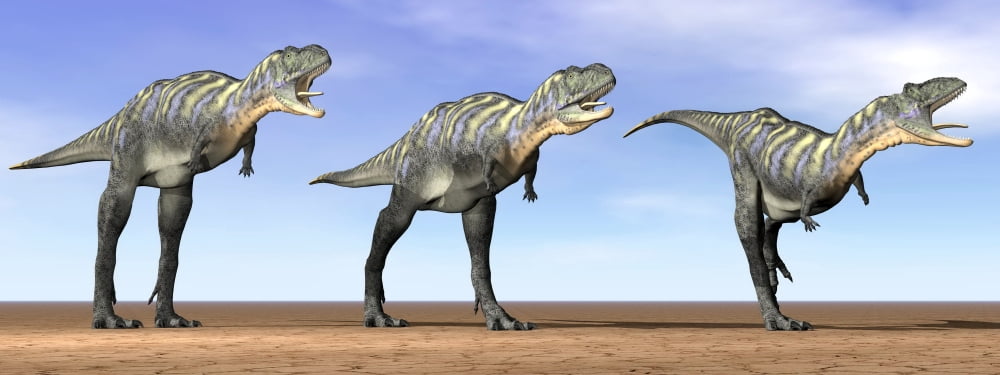 Three Aucasaurus dinosaurs standing in the desert by daylight Canvas Art - Elena DuvernayStocktrek Images (23 x 9)