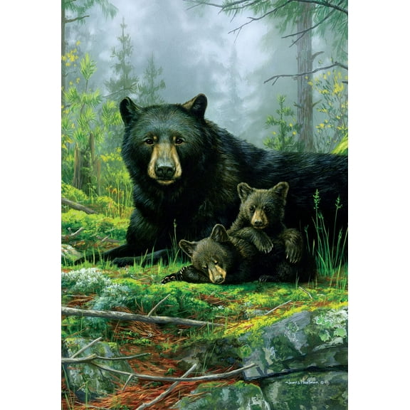 Three Bears 4858 Decorative Flag