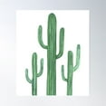thumbnail image 1 of Three Beautiful Green Cacti Succulent On White Design Poster Wall Art, Modern Wall Decor For Living Room Bedroom, 8x12 UNFRAMED, 1 of 3
