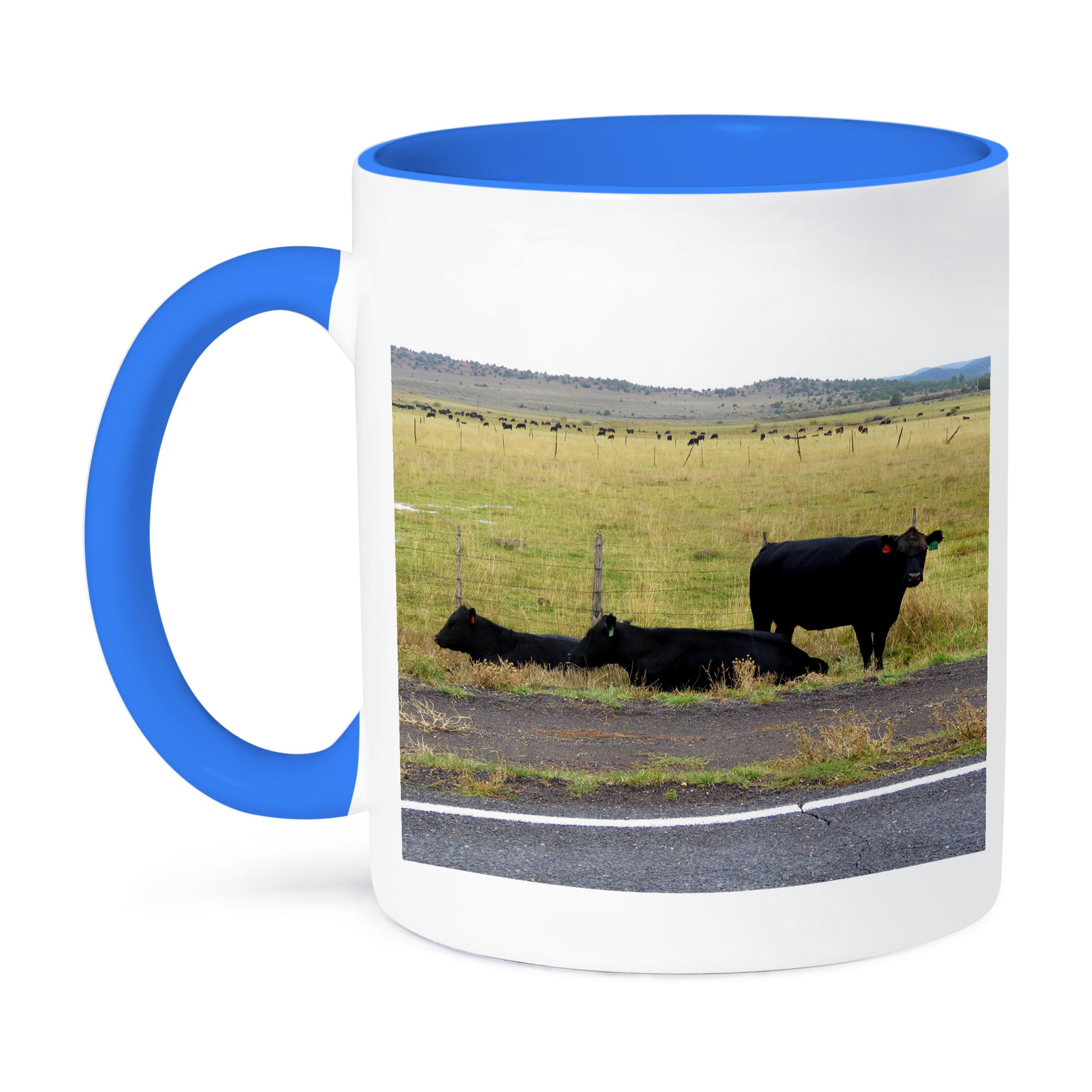 Three Black Cows Off The Side Of The Road With Many Cows In Field, 15oz ...