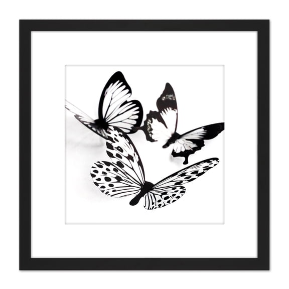 Three Black White Butterflies Group Collage Photo 8X8 Inch Square Wooden Framed Wall Art Print Picture with Mount