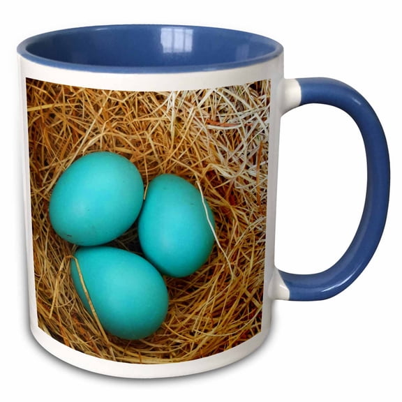 3drose, Three Blue Robin Eggs Birds Nest, 11oz Two-tone Blue Mug