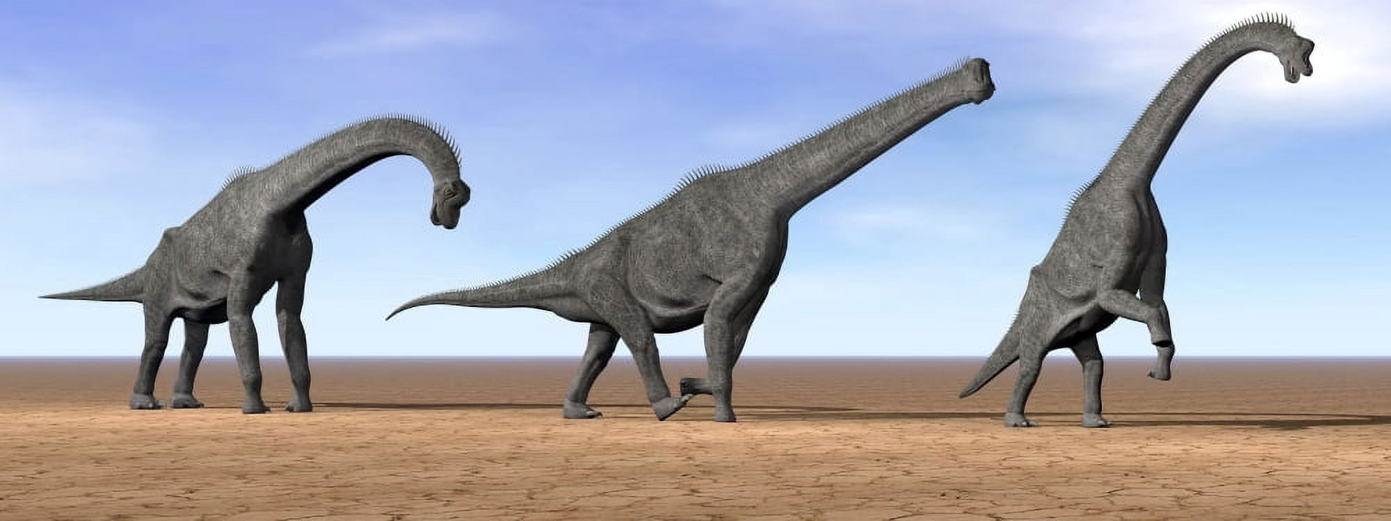 Three Brachiosaurus dinosaurs standing in the desert Canvas Art - Elena DuvernayStocktrek Images (46 x 18)