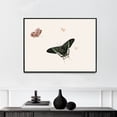 thumbnail image 1 of Three Butterflies and a Wasp | Herman Henstenburgh | Premium Fine Art Print | 18th Century Dutch | Art Nouveau | Botanical | Plant Art | Nature Art, 1 of 7