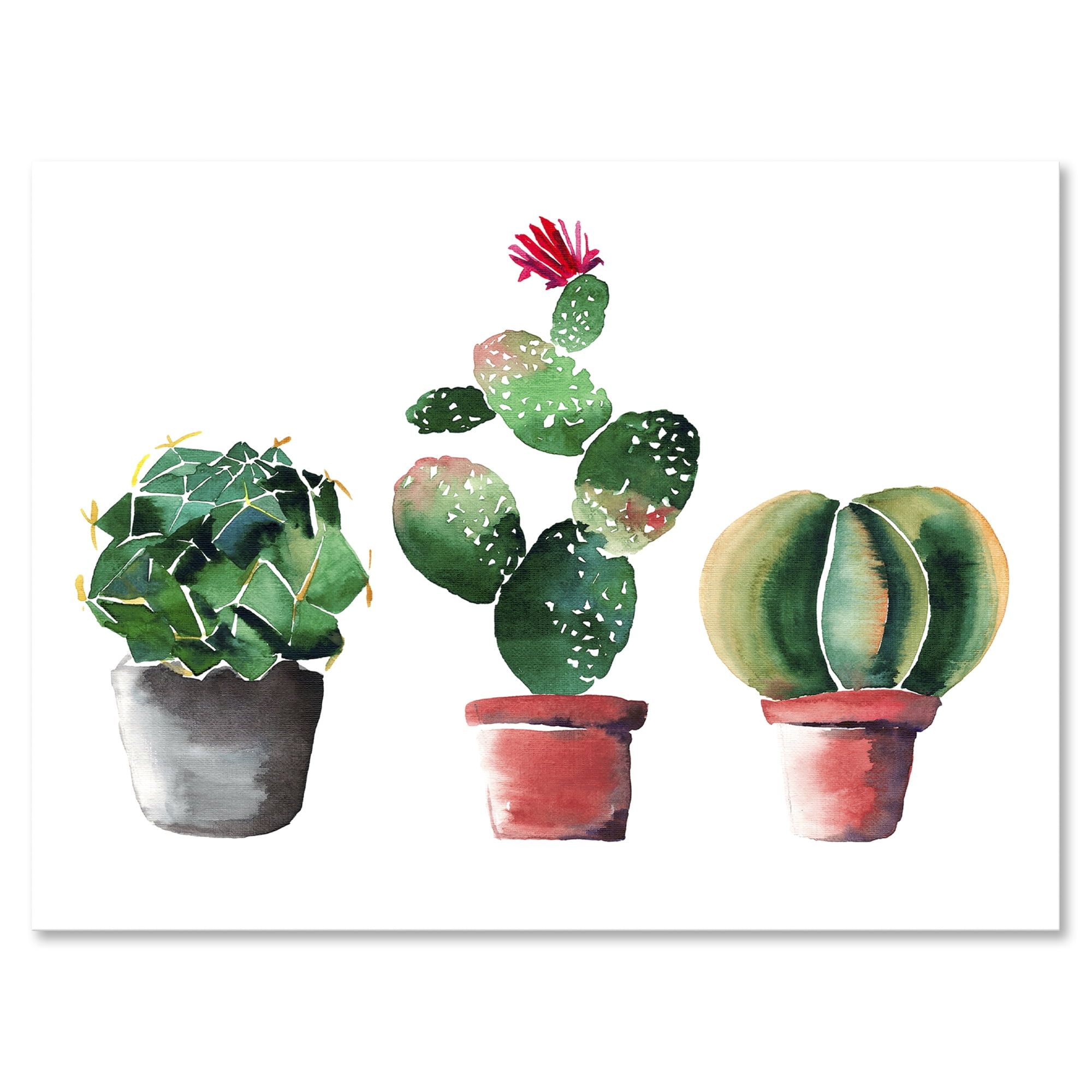 Three Cacti In Clay Pots On White 12 in x 8 in Painting Canvas Art Print, by Designart
