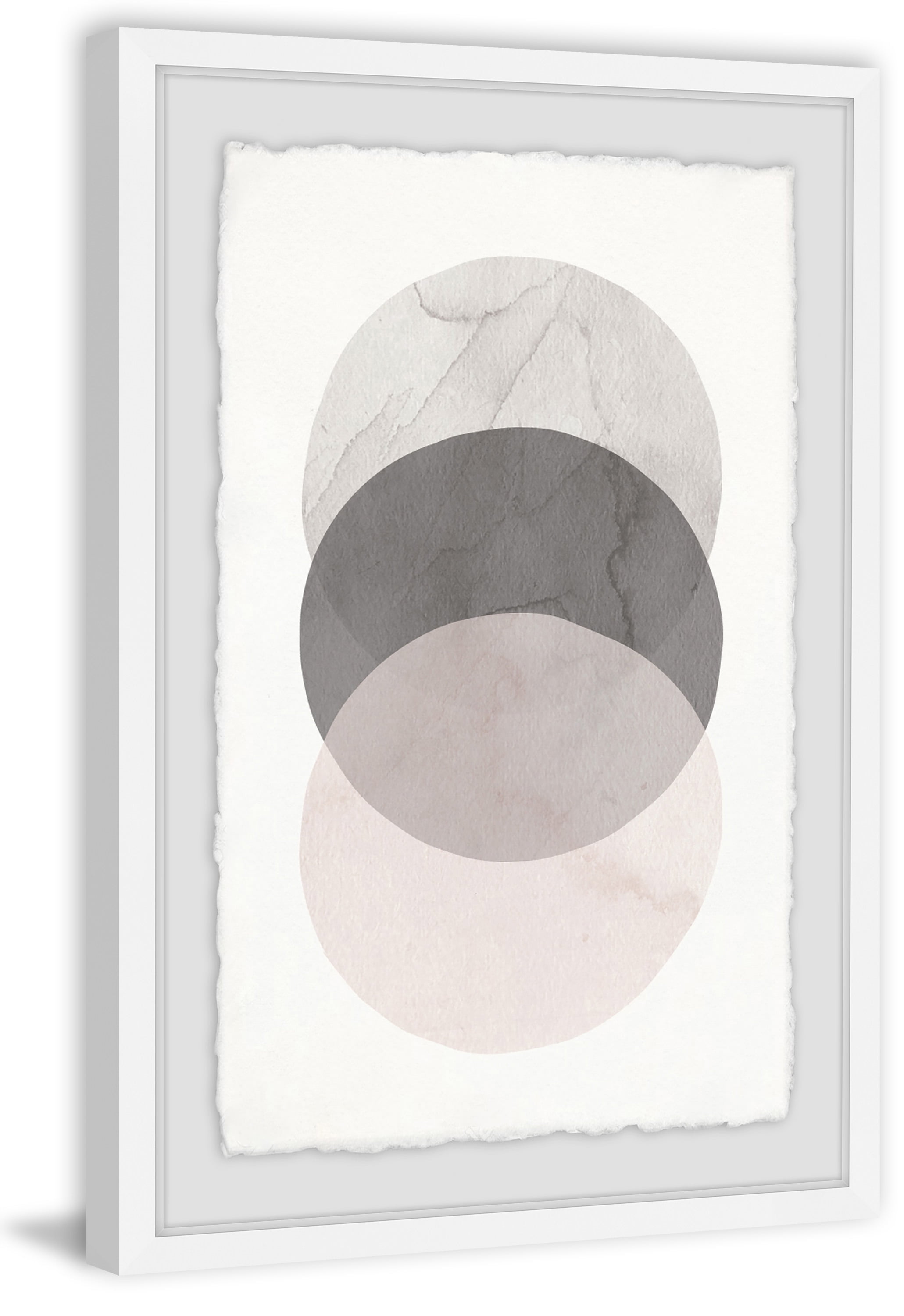 Neutral Geometric Circles Abstract Canvas Print