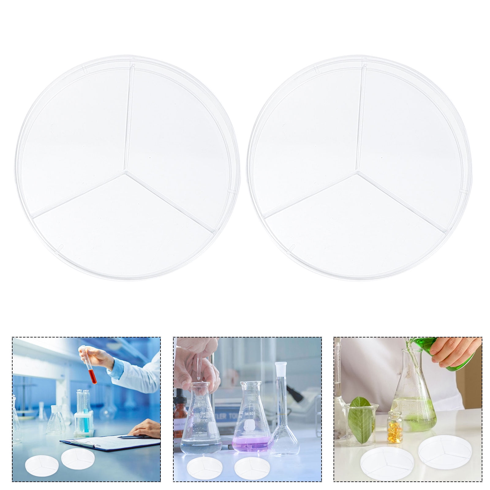 Three Compartments Petri Dish 10pcs Laboratory Petri Dish Transparent