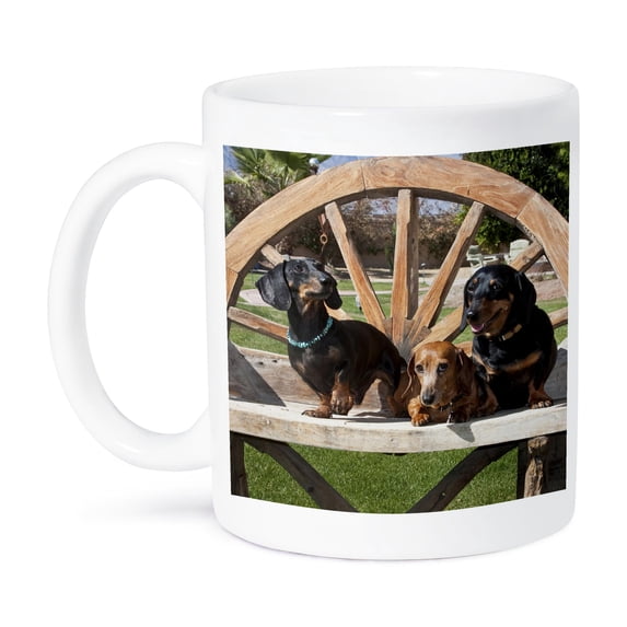 3dRose, Three Dachshund dogs on wooden bench - US05 ZMU0290 - Zandria Muench Beraldo, 15oz Mug