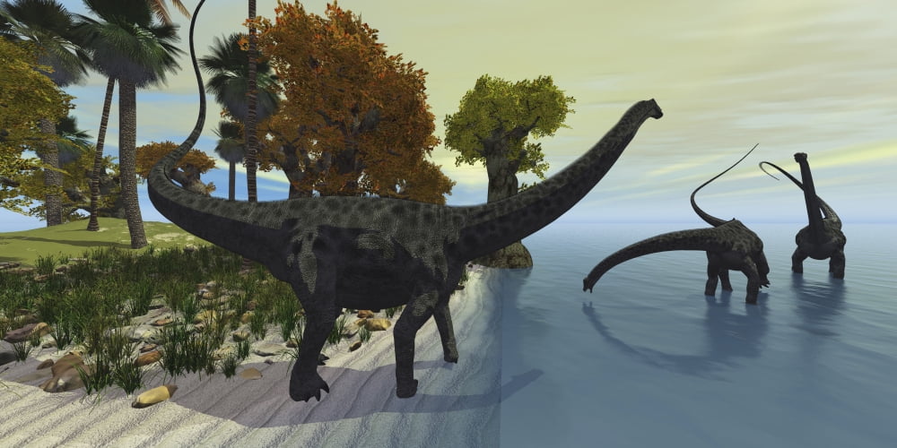 Three Diplodocus dinosaurs visit an island in the prehistoric era Canvas Art - Corey FordStocktrek Images (20 x 10)