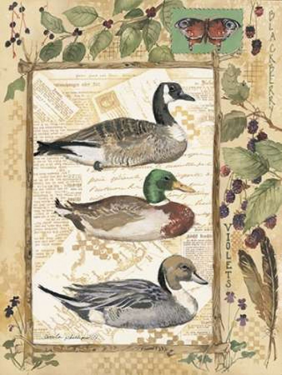 Three Ducks Canvas Art - Anita Phillips (18 x 24)