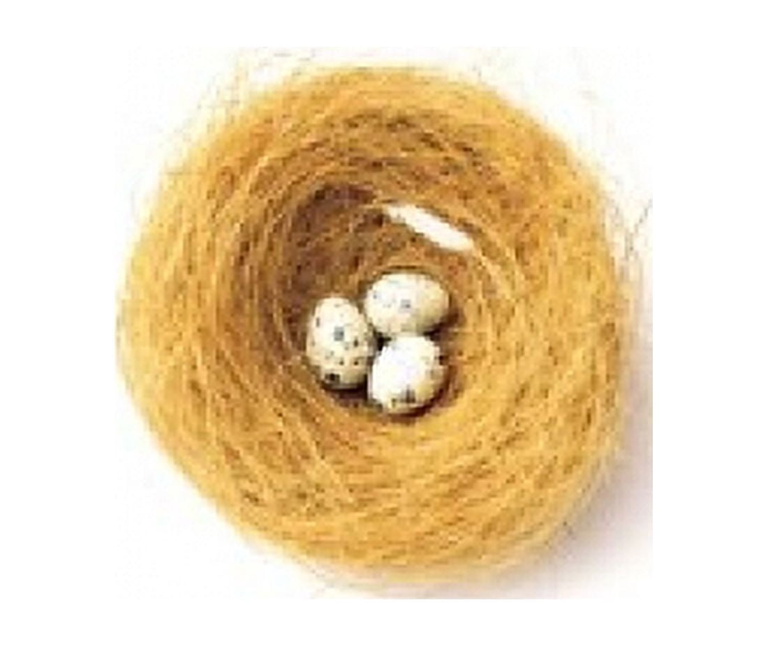 Three Eggs in Nest Illustrated On White Background Canvas Art - Panoramic Images (16 x 14)