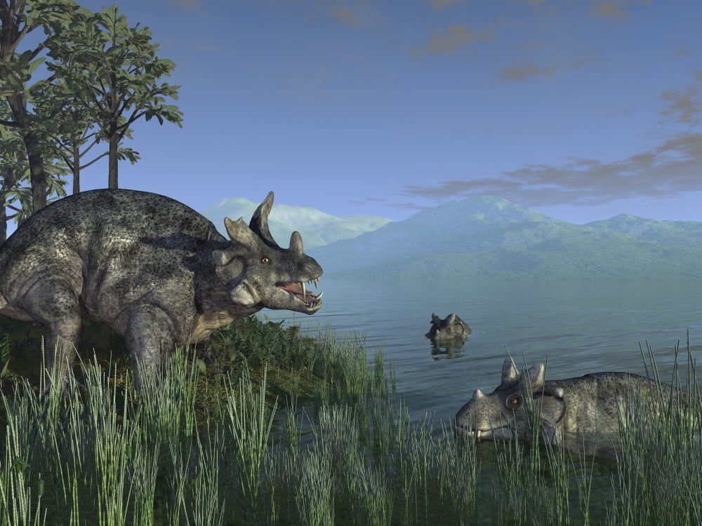 Three Estemmenosuchus mirabilis face off in a Paleozoic lake Canvas Art - Walter MyersStocktrek Images (33 x 25)