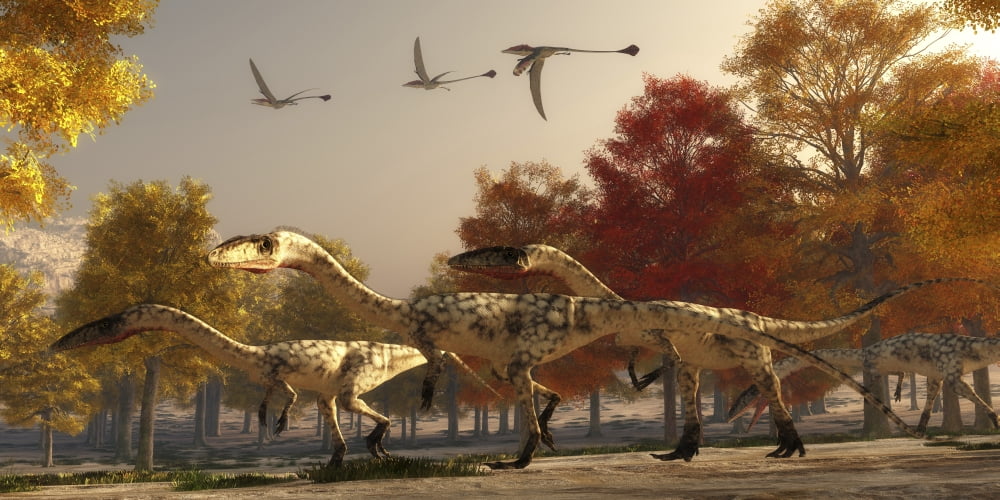 Three Eudimorphodons fly above a group of Coelophysis in an autumn forest Canvas Art - Corey FordStocktrek Images (20 x 10)