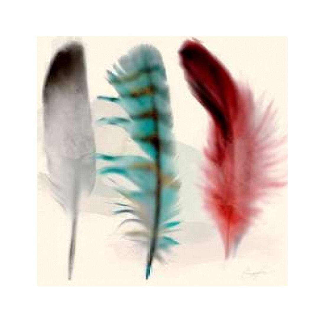 Three Feather Study 1 Canvas Art - Evangeline Taylor (24 x 24)