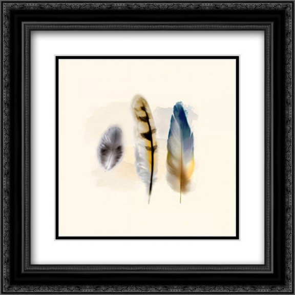 Three Feather Study 2 2x Matted 20x20 Black Ornate Framed Art Print by Taylor, Evangeline