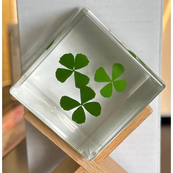 Three Four Leaf Clovers Shamrock Encased in 2" Crystal Clear Lucite Resin Paperweight Cube Specimen St.Patrick's Day "Lucky Leaf" Gift Crafts Collection Botany Science Education Desk Ornament Display