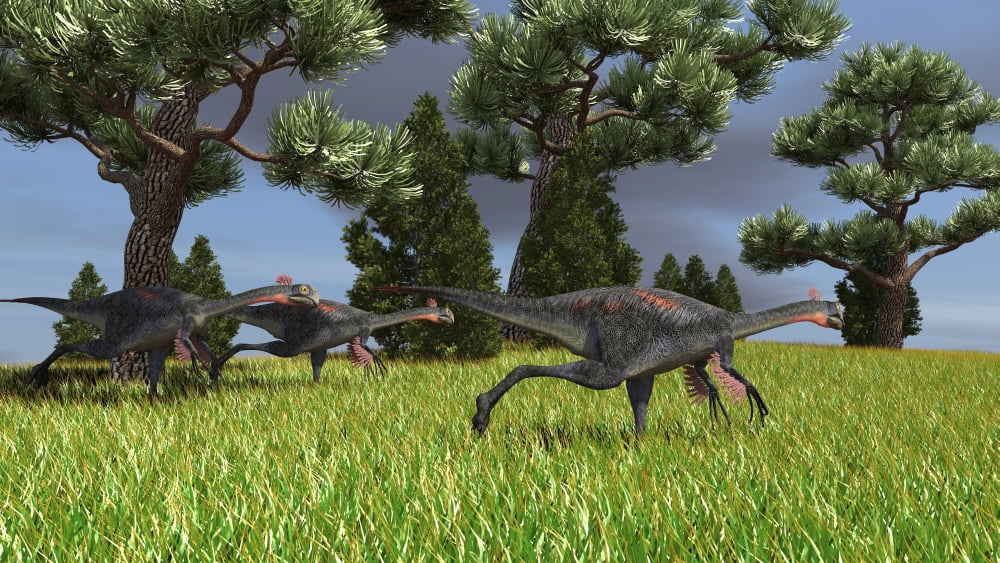 Three Gigantoraptors running across a grassy field Canvas Art - Kostyantyn IvanyshenStocktrek Images (19 x 11)
