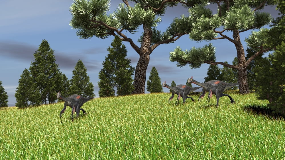 Three Gigantoraptors running across a grassy field Canvas Art - Kostyantyn IvanyshenStocktrek Images (38 x 22)