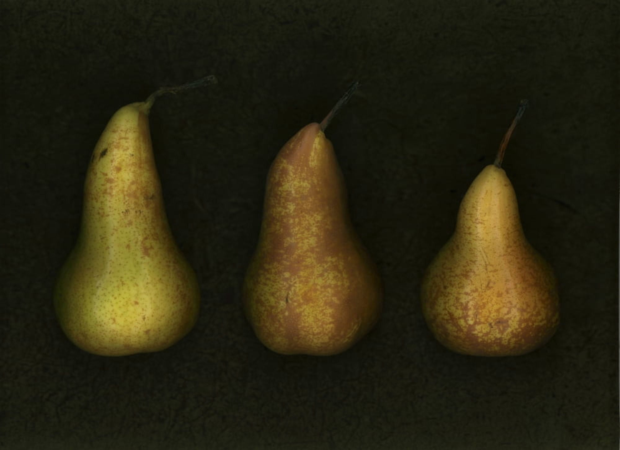 Three Golden Pears Canvas Art - Deddeda Design Pics (32 x 22)