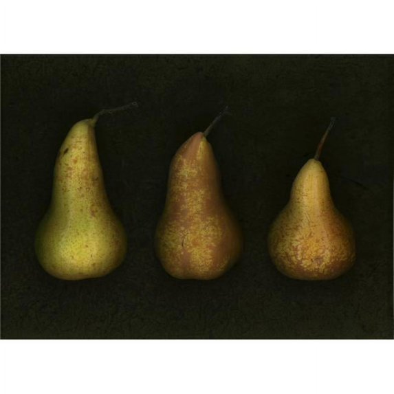 Three Golden Pears Poster Print by Deddeda - 16 x 11