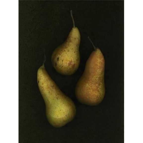Three Golden Pears Poster Print