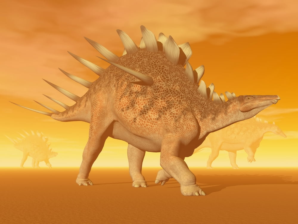 Three Kentrosaurus dinosaurs in the desert with hazy sunset light Canvas Art - Elena DuvernayStocktrek Images (17 x 13)