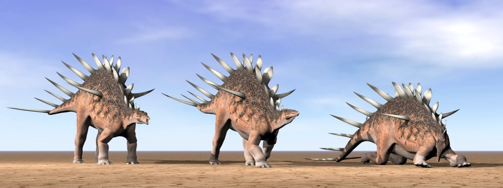 Three Kentrosaurus dinosaurs standing in the desert Canvas Art - Elena DuvernayStocktrek Images (23 x 9)