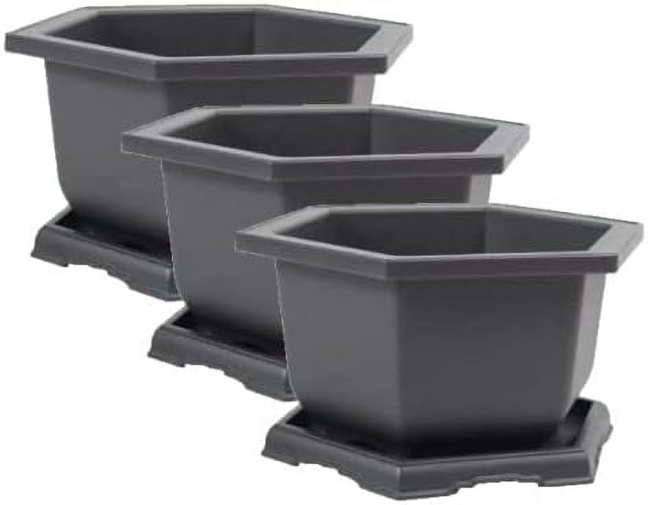 Three Large Training Plastic Hexagonal Bonsai Pot and Trays + 12 T-Shaped  Markers - Walmart.com