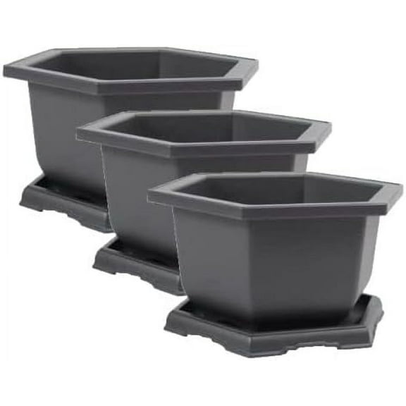 Three Large Training Plastic Hexagonal Bonsai Pot and Trays + 12 T-Shaped Markers