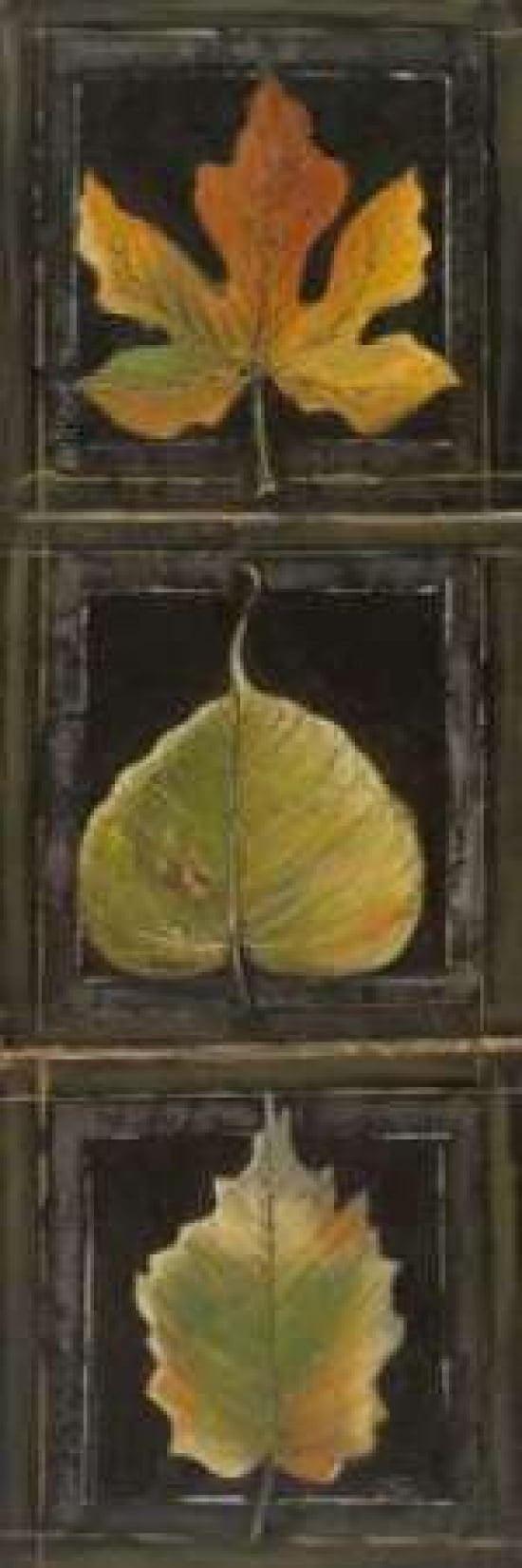 Three Leaves I Canvas Art - Patricia Pinto (12 x 36)