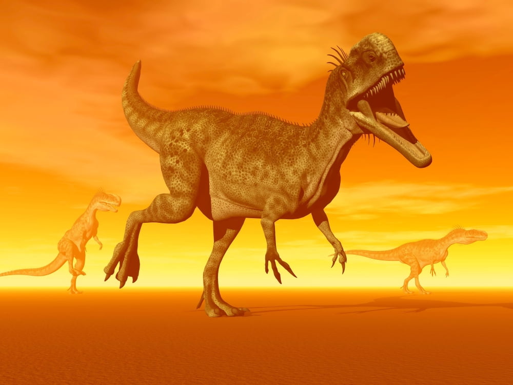 Three Monolophosaurus dinosaurs in the desert by sunset Canvas Art - Elena DuvernayStocktrek Images (17 x 13)