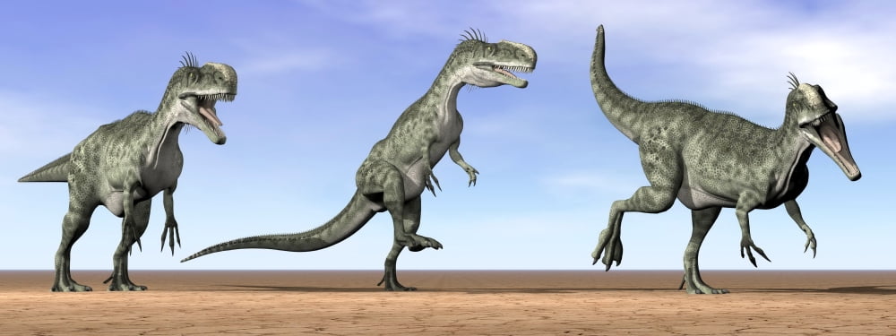 Three Monolophosaurus dinosaurs standing in the desert Canvas Art - Elena DuvernayStocktrek Images (23 x 9)